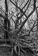 Against the Elements 13